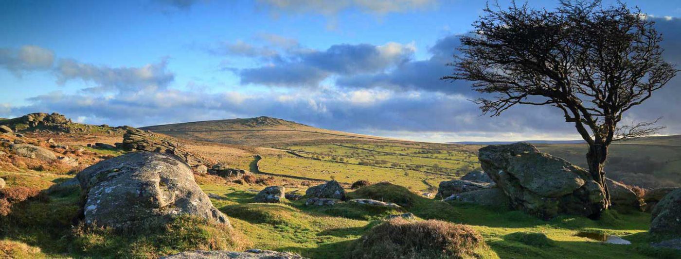 Your gateway to Dartmoor